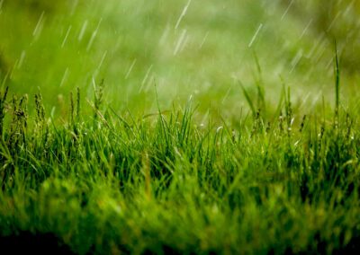 woda deszczowa uzdatnianie